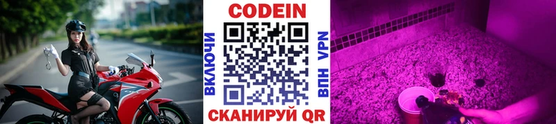 где найти наркотики  Сланцы  shop формула  Кодеин Purple Drank 