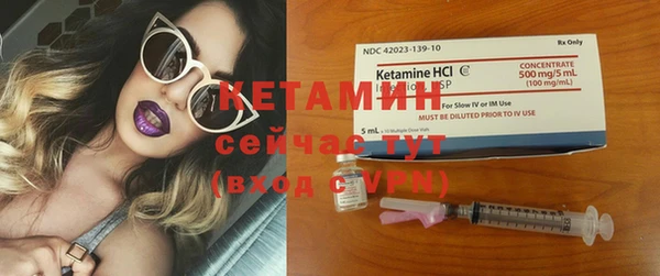 прущие грибы Белокуриха