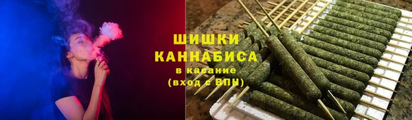 прущие грибы Белокуриха