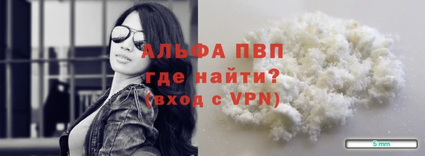 прущие грибы Белокуриха