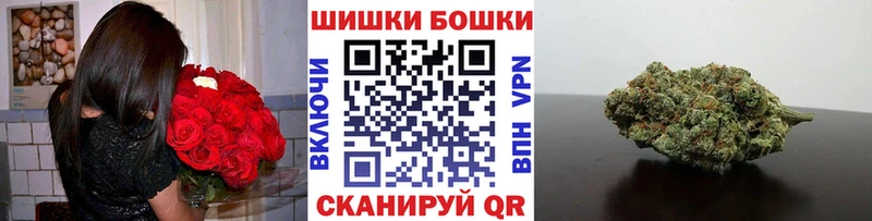 Бошки Шишки сатива  где купить наркоту  Сланцы 